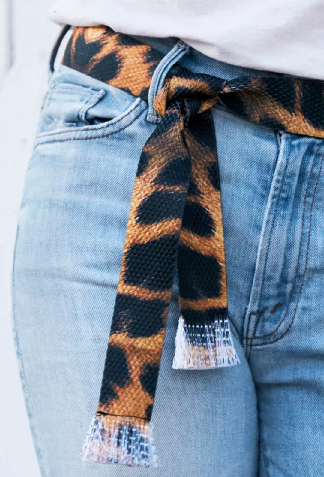 Bands of LA Animal Belt - Leopard