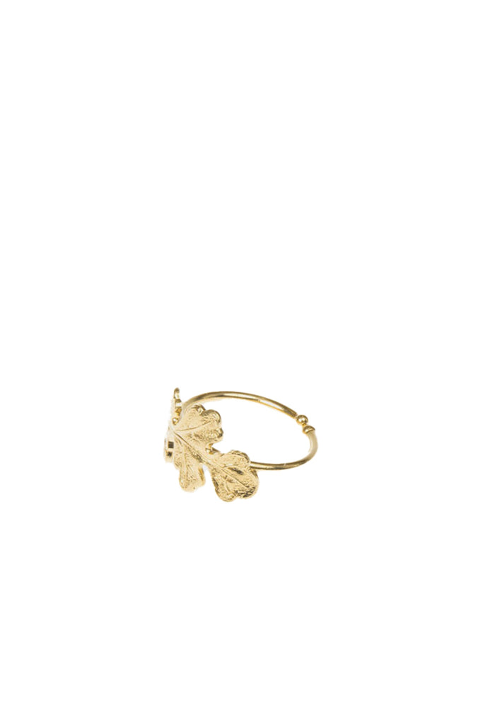 Medecine Douce Wind Ring - Gold