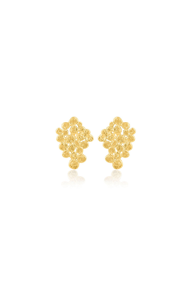 Husk Paloma Earring - Gold