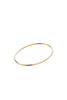 Jenny Bird Dane Anklet - Gold
