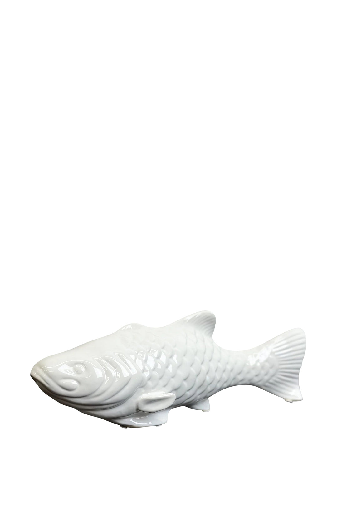 Husk Fish
