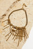Rada Chain Necklace - Gold