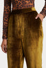 Husk Velvet Pant - Gold